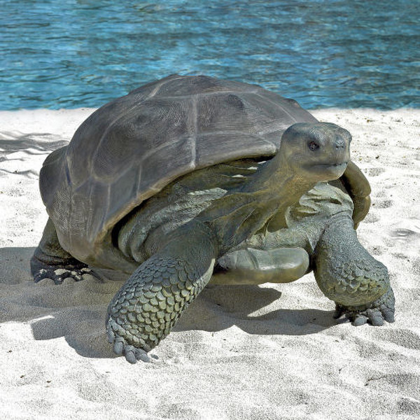 Giant Galapagos Tortoise Statue Outdoor Seaside Sculptures Turtles Art